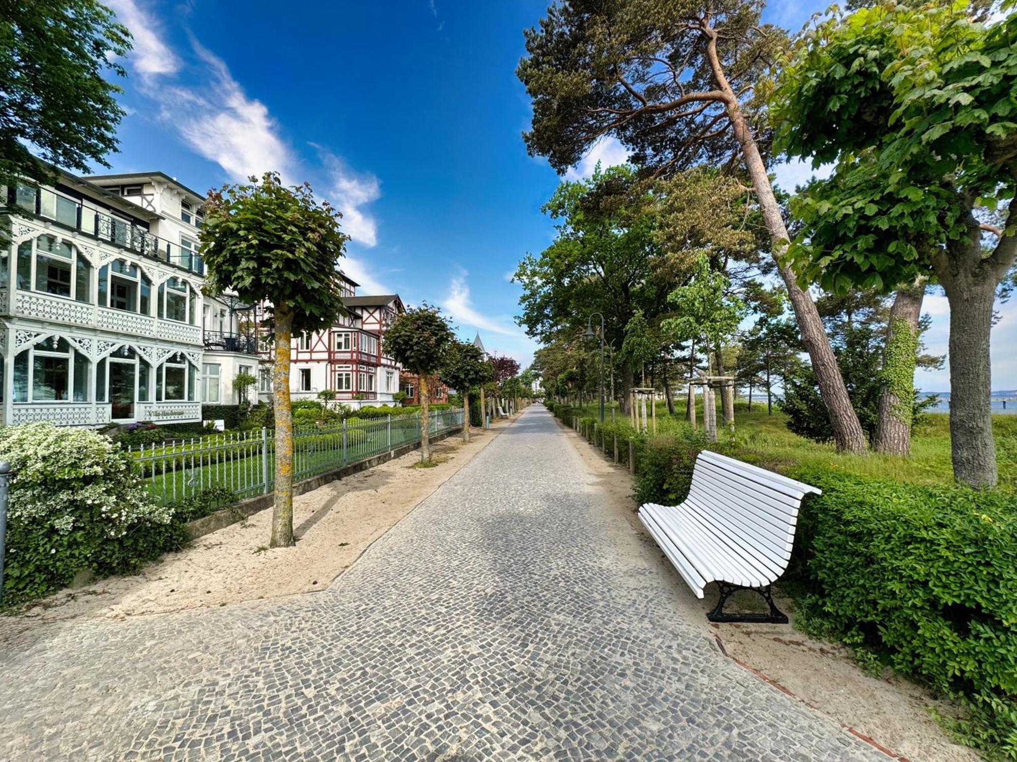 Strandzauber Haiderose