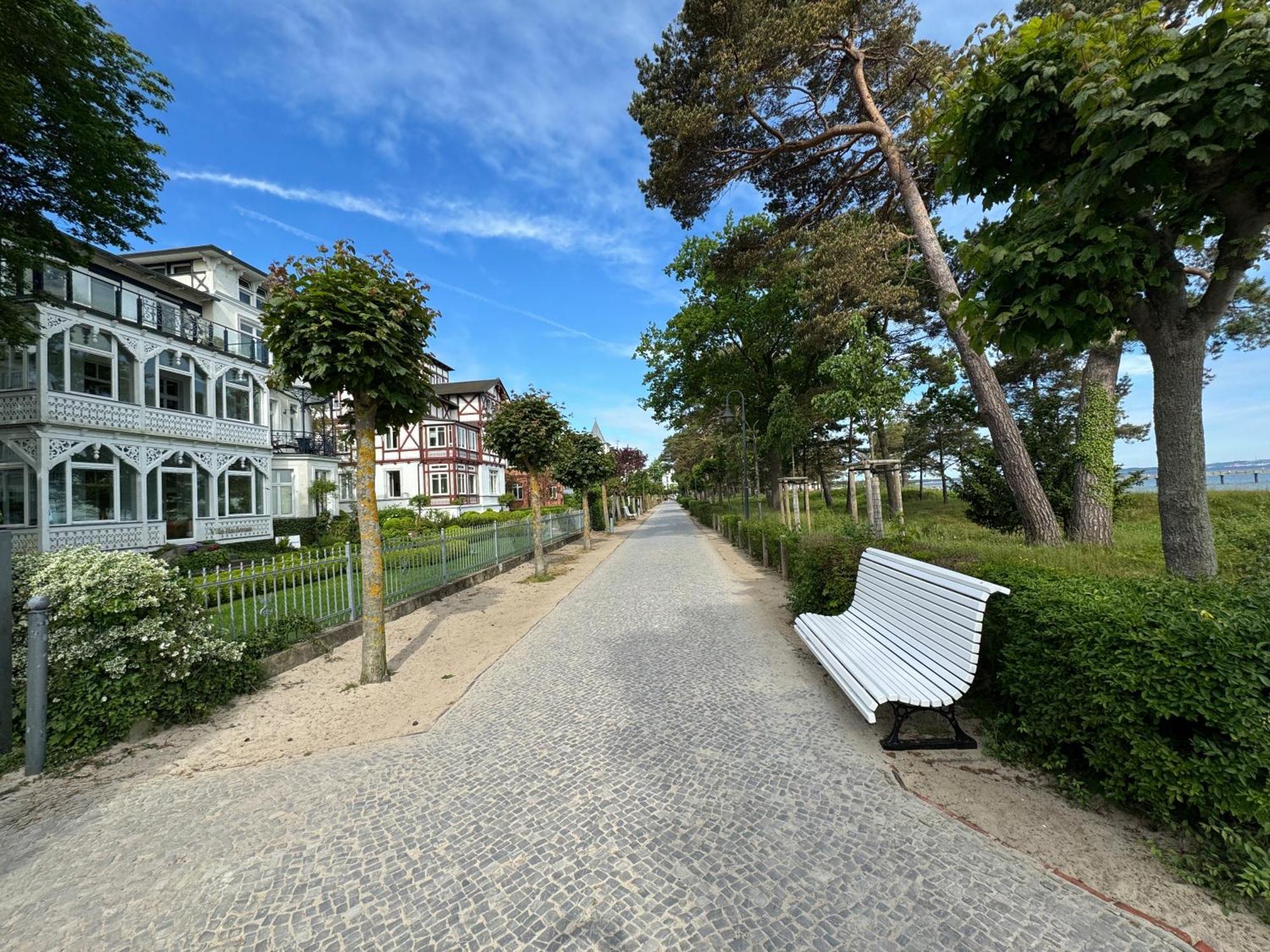 Strandzauber Haiderose * Binz